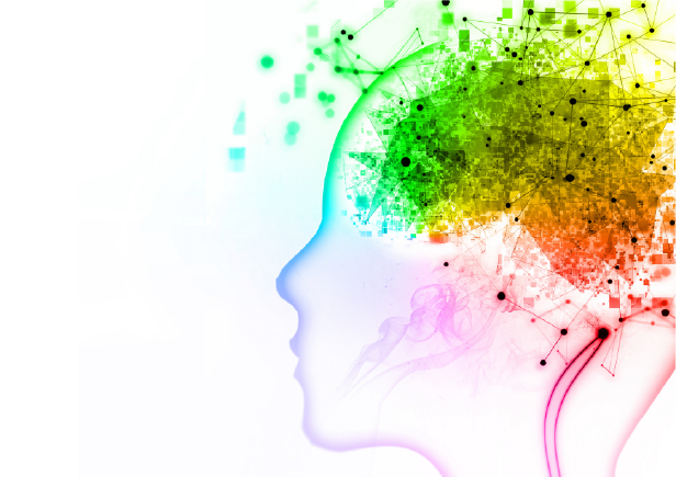 Quiz des intelligences